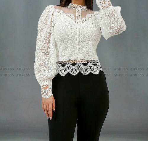 دانتل مجلسی استین بلند